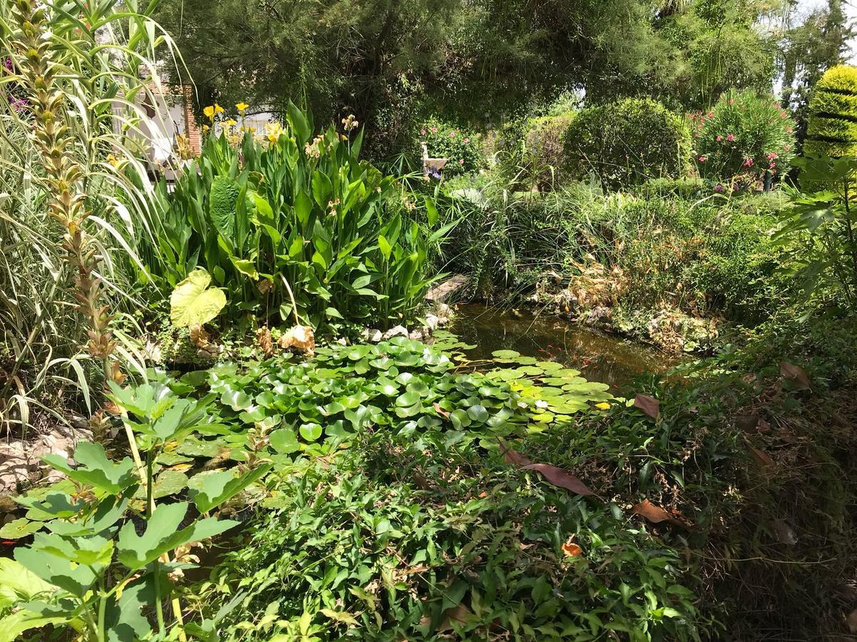Cortijo Andaluz Bed & Breakfast Alhaurin el Grande Exterior photo