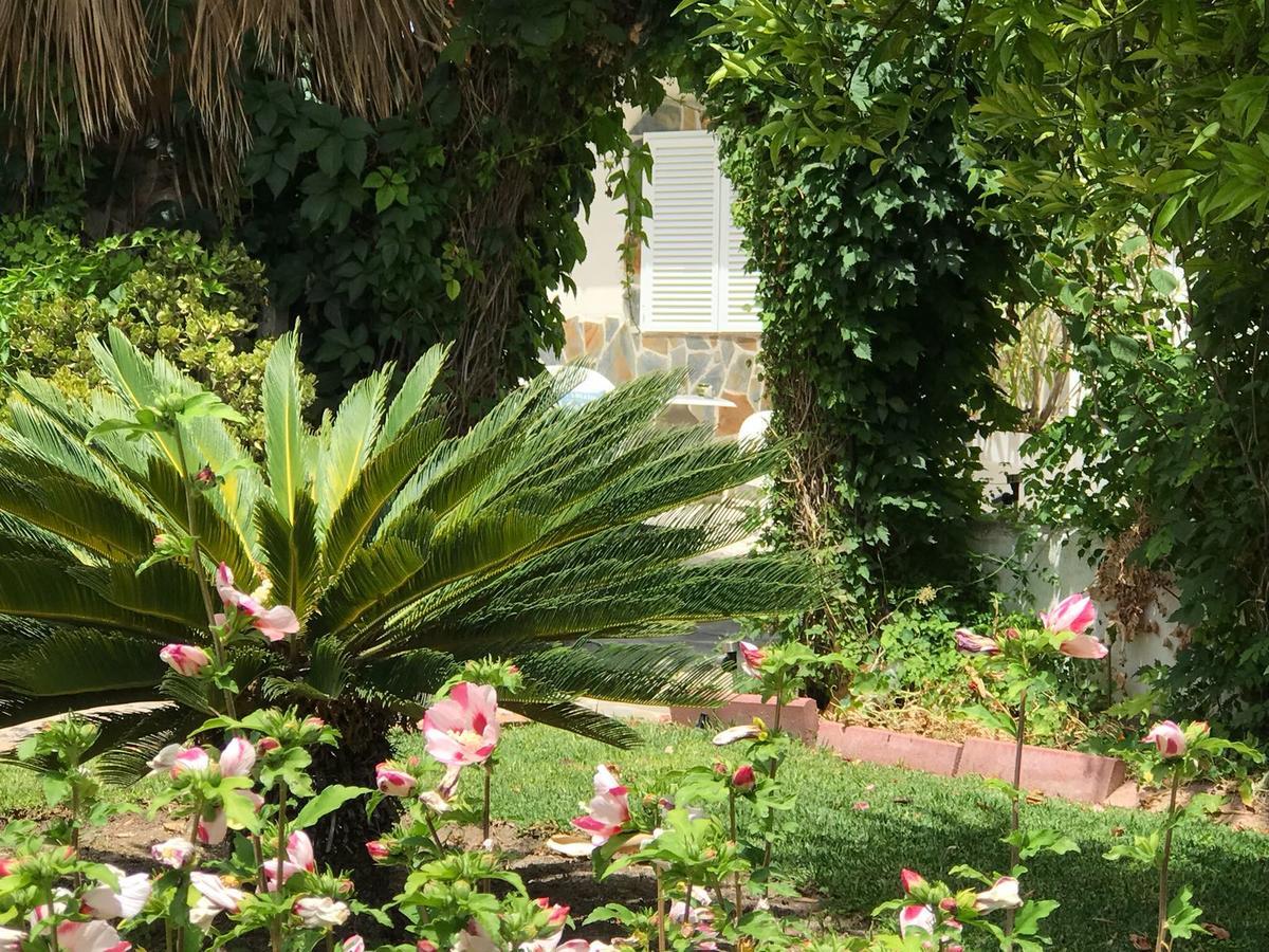 Cortijo Andaluz Bed & Breakfast Alhaurin el Grande Exterior photo